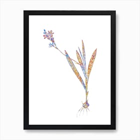 Stained Glass Gladiolus Mucronatus Mosaic Botanical Illustration on White n.0215 Art Print