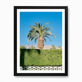 Palm Springs Palm on Film Art Print