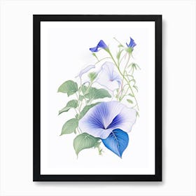 Morning Glory Floral Quentin Blake Inspired Illustration 2 Flower Art Print