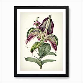 Orchid Leaf Vintage Botanical 2 Poster