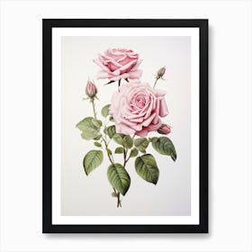 Roses Flower Vintage Botanical 3 Art Print