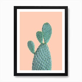 Cactus Pink Background Art Print