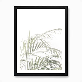 Leafy Fern Art Print