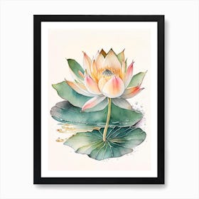 Blooming Lotus Flower In Lake Watercolour Ink Pencil 2 Art Print