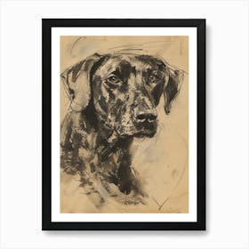 Sepia Plott Hound Dog Charcoal Line 1 Art Print