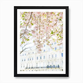 White London Blossom Art Print