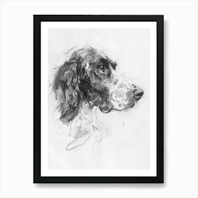 Irish Setter Dog Charcoal Line 2 Art Print