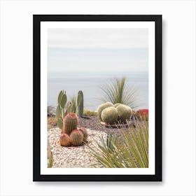 Botanical Garden Above The Sea Art Print