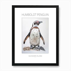 Humboldt Penguin Saunders Island Watercolour Painting 2 Poster Art Print