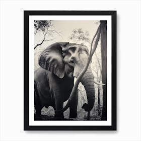 African Elephant Realism Portrait 6 Art Print