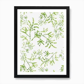 Green Fern Pattern Art Print