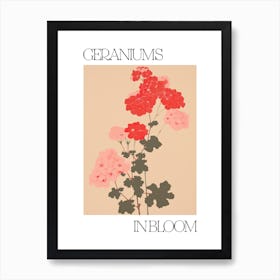 Geraniums In Bloom Flowers Bold Illustration 1 Art Print