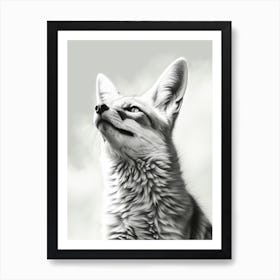 Bengal Fox Portrait Pencil Drawing 4 Art Print