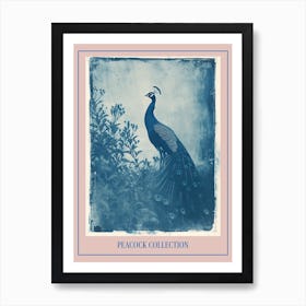 Peacock In The Meadow Cyanotype Inspired 1 Poster Art Print