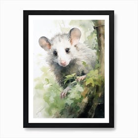 Light Watercolor Painting Of A Urban Possum 4 Art Print
