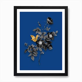 Vintage Alpine Rose Black and White Gold Leaf Floral Art on Midnight Blue n.0189 Art Print