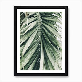 Palm Leaf 8 Art Print