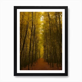 Autumn Forest 68 Art Print