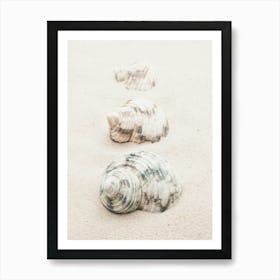 Shells in the sand_2110340 Art Print