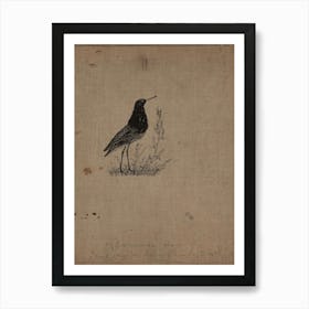 Sandpiper Art Print