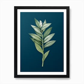 Vintage Smilacina Stellata Botanical Art on Teal Blue n.0718 Art Print