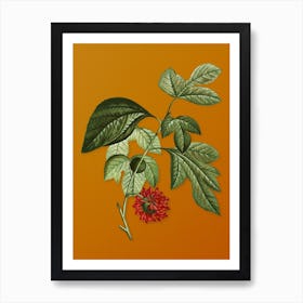 Vintage Paper Mulberry Flower Botanical on Sunset Orange n.0415 Art Print