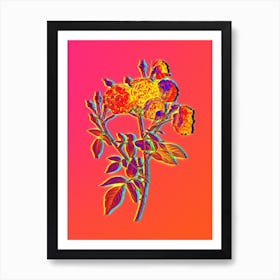 Neon Ternaux Rose Bloom Botanical in Hot Pink and Electric Blue n.0361 Art Print