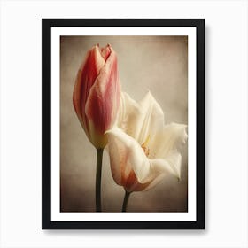 Vintage Flowers 3 Art Print