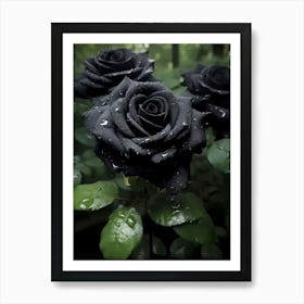 Black Roses Affiche