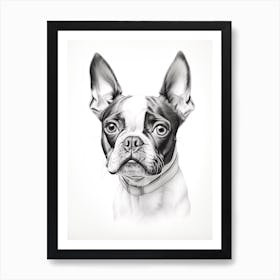 Boston Terrier Dog, Line Drawing 2 Art Print