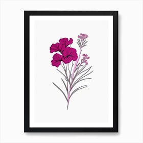 Sweet William Floral Minimal Line Drawing 2 Flower Art Print