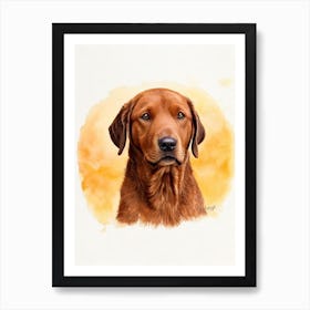 Chesapeake Bay Retriever Illustration Dog Art Print