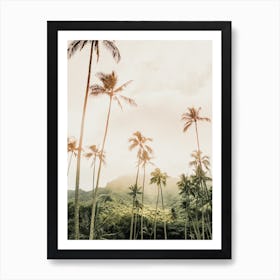 Tropical Sunrise Art Print