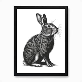 Californian Black Blockprint Rabbit Illustration 1 Art Print