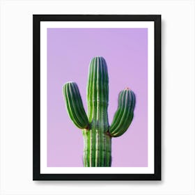 Cactus 19 Art Print