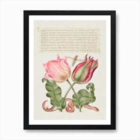 Tulips, Insect, And Worm From Mira Calligraphiae Monumenta Or The Model Book Of Calligraphy, Joris Hoefnagel Art Print