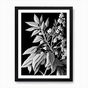 Spirea Leaf Linocut 2 Art Print