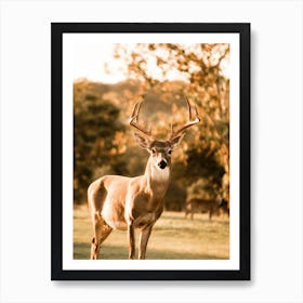 Autumn Deer Art Print