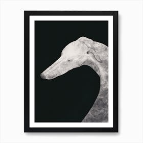 Greyhound Grey Art Print