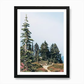 PNW Wild Wanderlust Trail Art Print