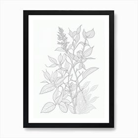 Ashwagandha Herb William Morris Inspired Line Drawing Art Print