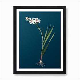 Vintage Gladiolus Botanical Art on Teal Blue n.0617 Art Print