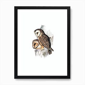 Vintage Chestnut Faced Owl Bird Illustration on Pure White Art Print