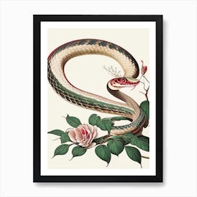 Chinese Cobra Snake 1 Vintage Art Print