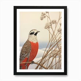 Bird Illustration Pheasant 4 Art Print