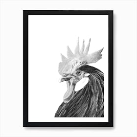 Black and White Rooster Illustration Art Print