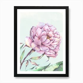 Pink Peony Watercolor Painting Art Print