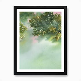 Acropora Tenuis Vi Storybook Watercolour Art Print