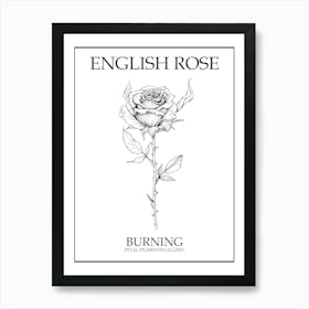 English Rose Burning Line Drawing 2 Poster Art Print