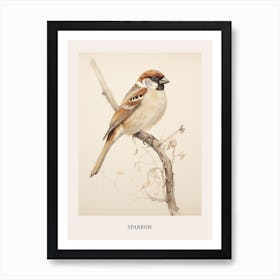 Vintage Bird Drawing Sparrow 3 Poster Art Print